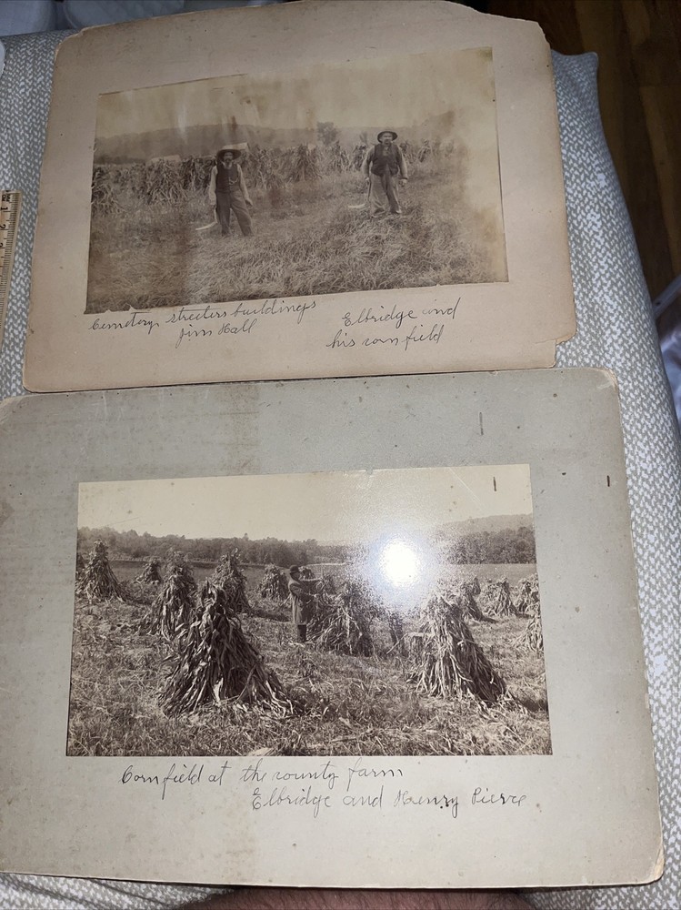 2 Antique Mounted Photographs: 1 Cheshire County Farm Cornfield Westmoreland NH