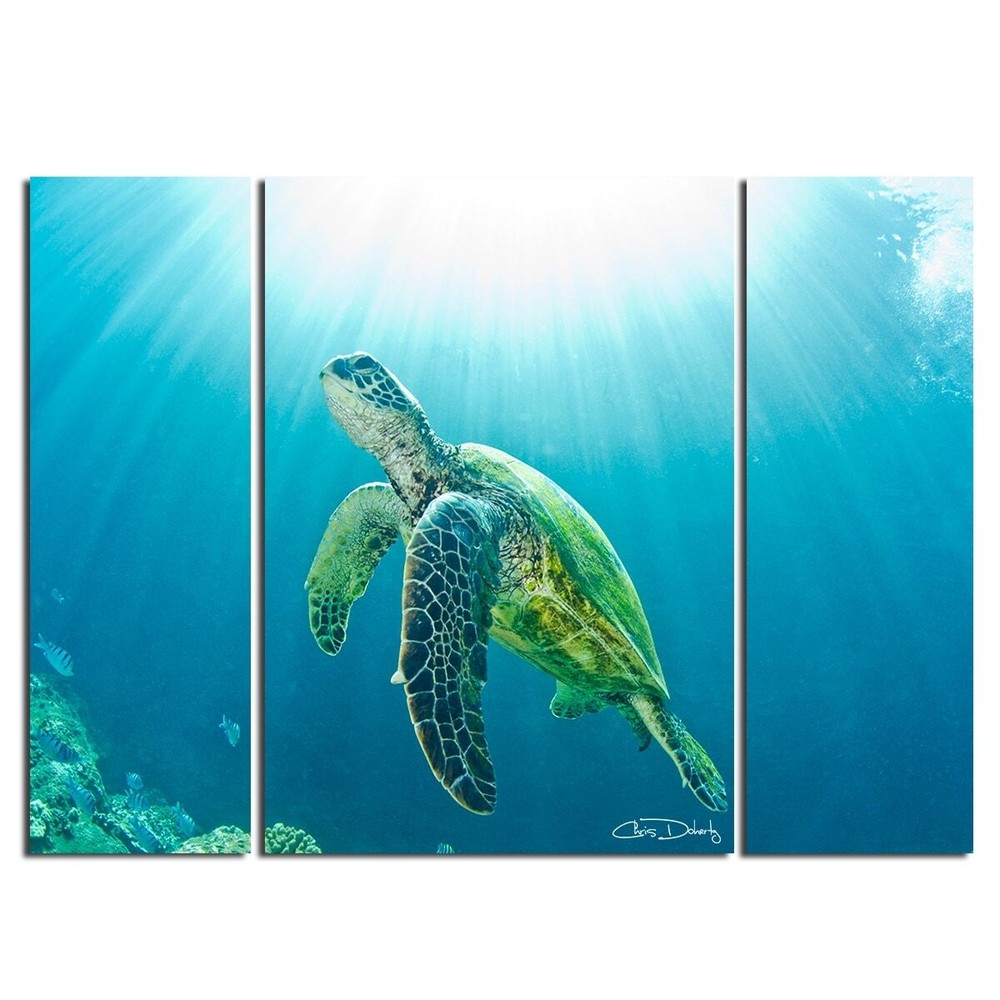 Ready2HangArt 'Sea Turtle' 3-Piece Wrapped Canvas Wall Art Blue (3) 40
