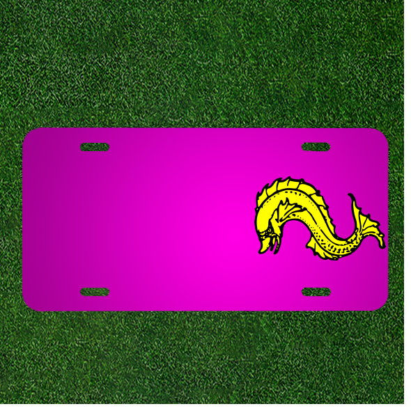 Custom Personalized Car License Plate Featuring Dolphin Design and Added Names