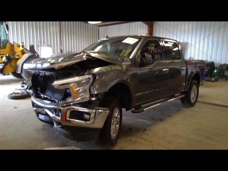 OEM Strut Front for 2018-2020 Ford F150 Pickup 2242583