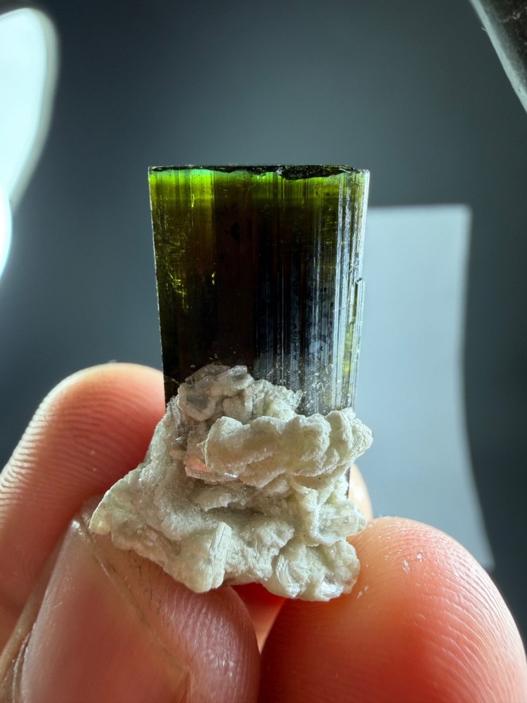 46 Carats Natural Green Cap Tourmaline Crystal With Matrix Specimen @Minerals