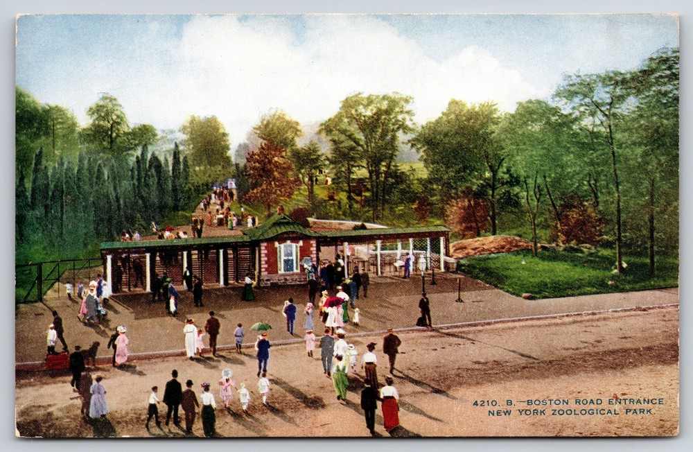 New York City NYZP Zoo~Air View Boston Road Entrance~Vintage Postcard