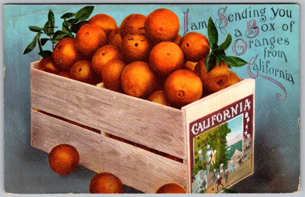 Antique Postcard Orange Crate Label Los Angeles, CA 1910s