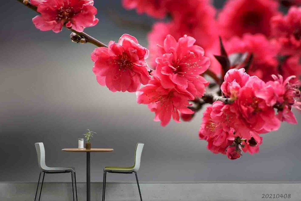 3D Pink Flowers Plants Close-up Wall Murals Wallpaper Murals Wall Sticker