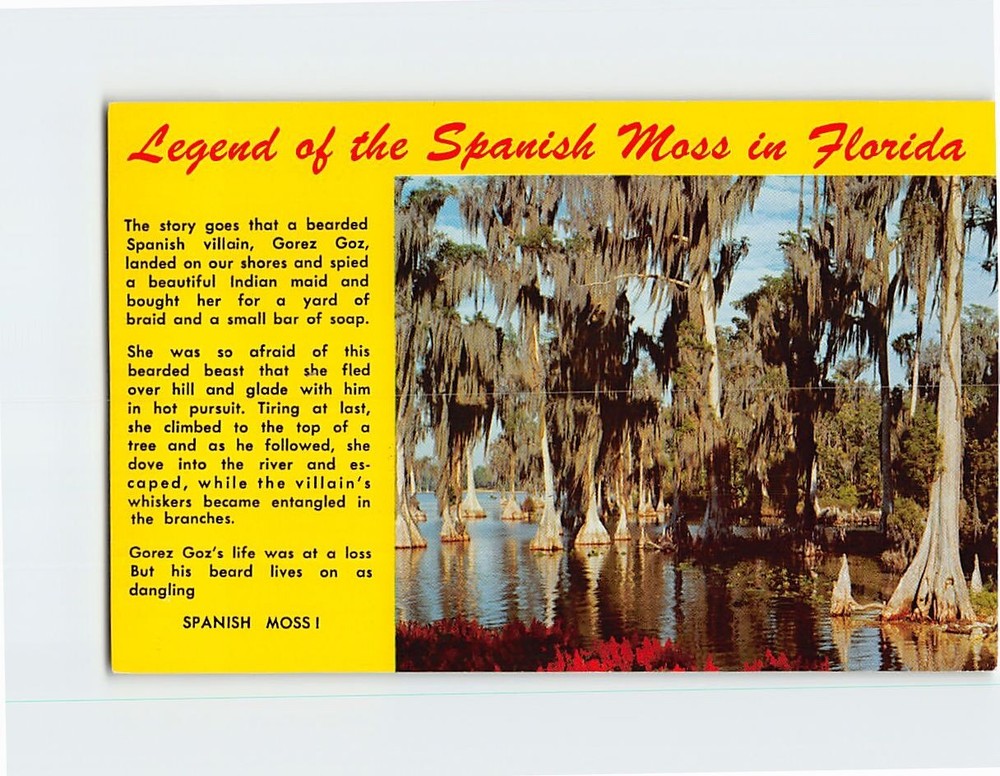 Postcard Legend of the Spanish Moss in Florida USA