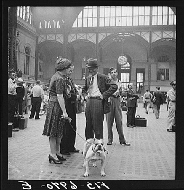 New York NY Pennsylvania Railroad Station 1930s Waiting for Trains with Dog