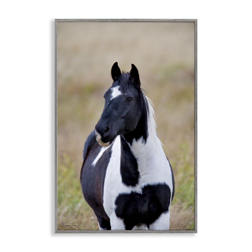 Black & White Foal Framed Giclee Art Design by Dennis Frates