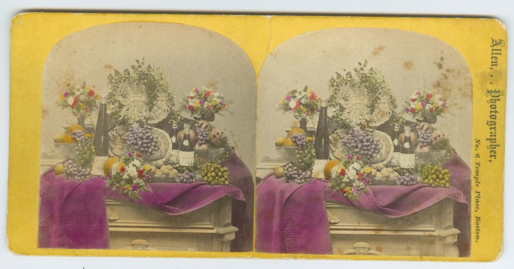 D1182~ c.1870 Still-Life With Claret Wine Bottles Stereoview – Allen, Boston