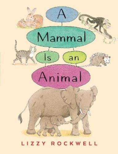 Lizzy Rockwell A Mammal is an Animal (Paperback)Another great item from Rarewaves USA | Free delivery!