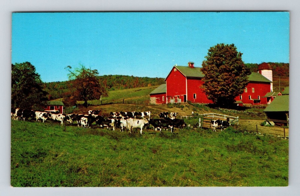 Roxbury NY-New York, Scenic Greetings Area, Vintage Postcard