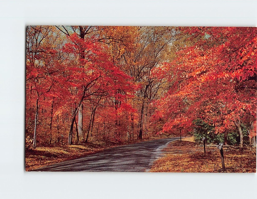 Postcard Autumn Country Road Nature Scene
