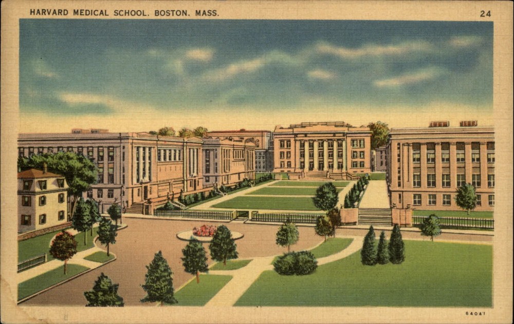 Boston MA Harvard Medical School Longwood Avenue unused vintage linen postcard