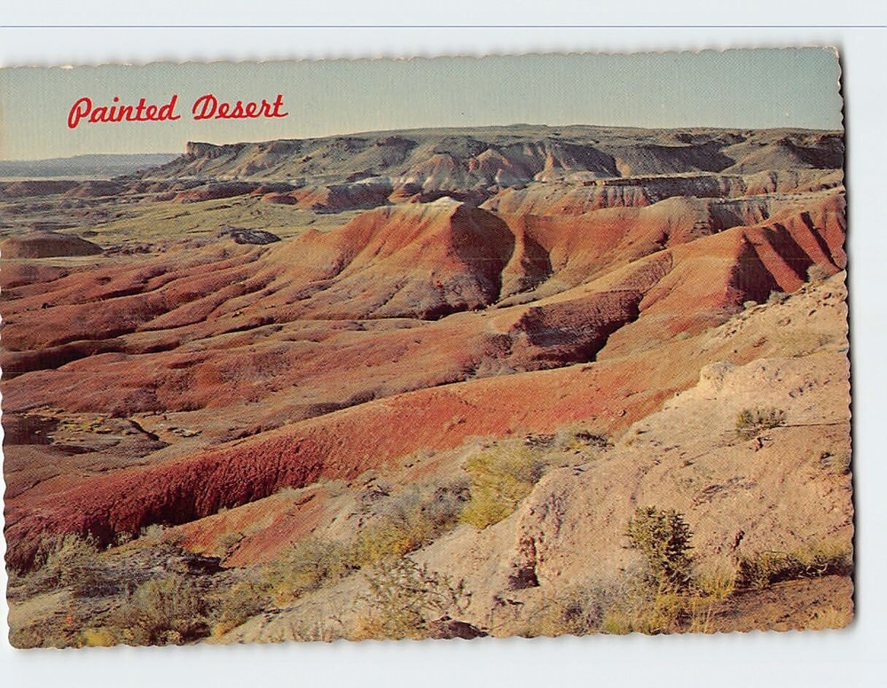 Postcard Painted Desert Arizona USA North America