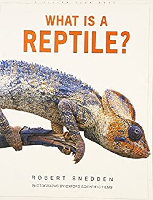 What Is a Reptile? Paperback Robert SneddenFree US Delivery | ISBN:0871569302