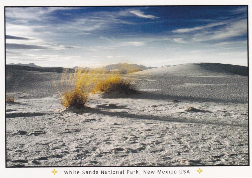 White Sands National Park New Mexico Postcard
