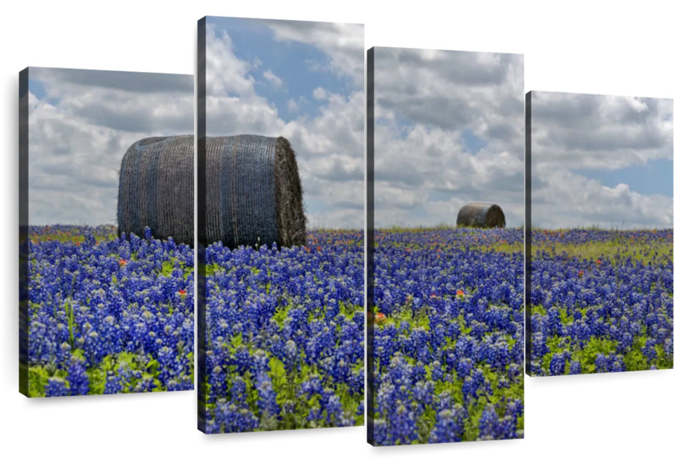 Texas Bluebonnets Wall Art