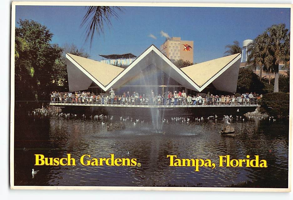 Postcard Busch Gardens Tampa Florida USA
