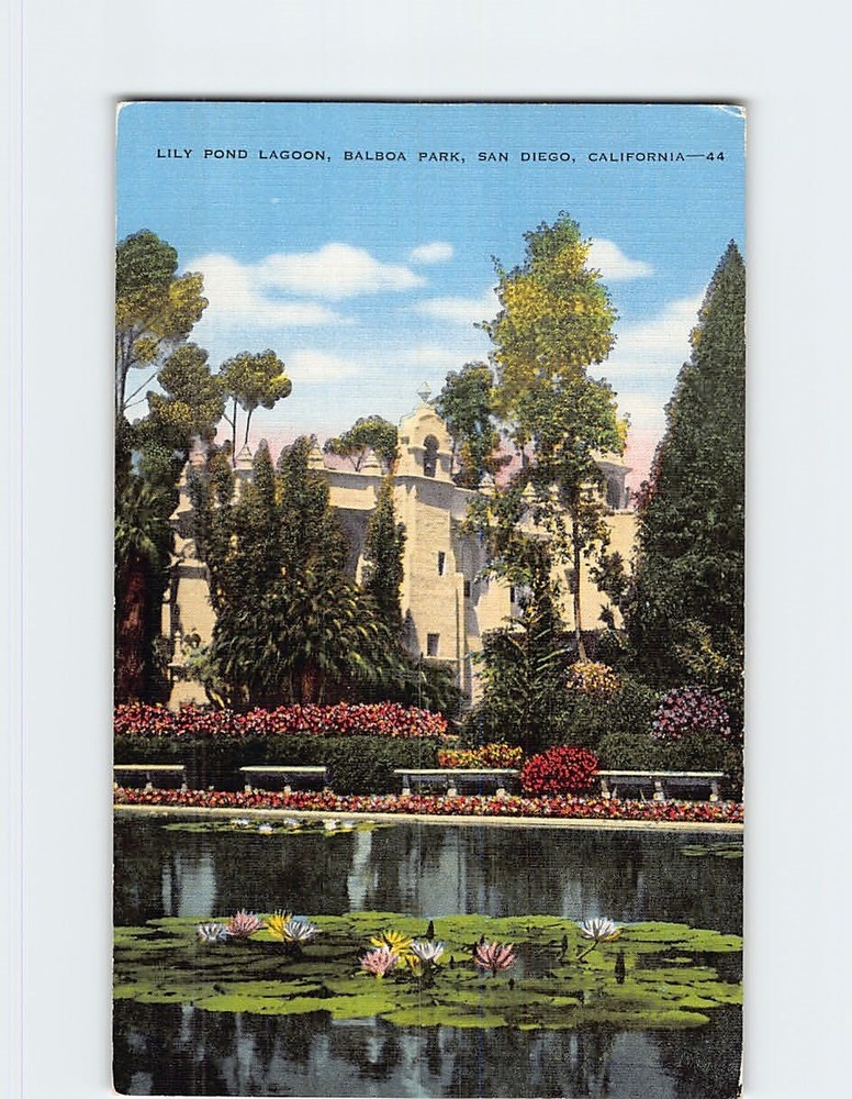Postcard Lily Pond Lagoon Balboa Park San Diego California USA
