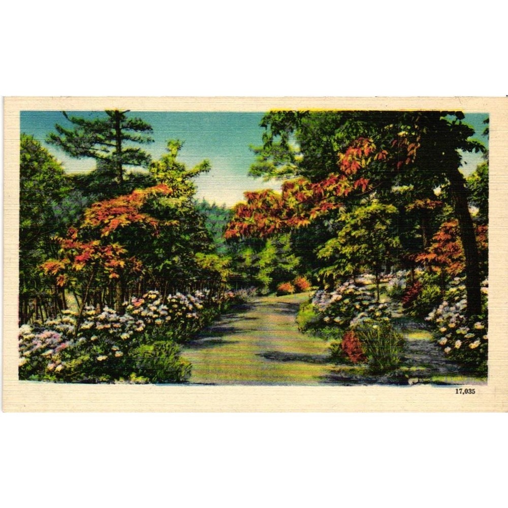 Vintage Linen Postcard Garden Path Asheville Post Card Co 17035 Unposted NC