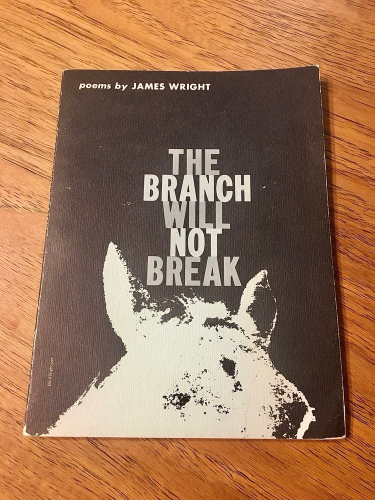 The Branch Will Not Break by James Wright, Wesleyan University Press 1966 PB