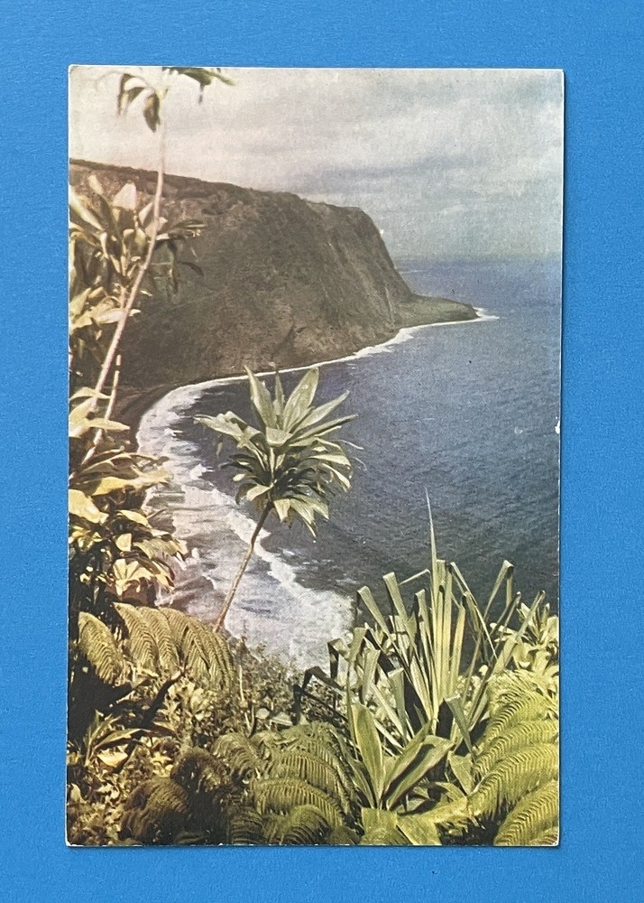 Waipio Valley Vintage Postcard Hawaii