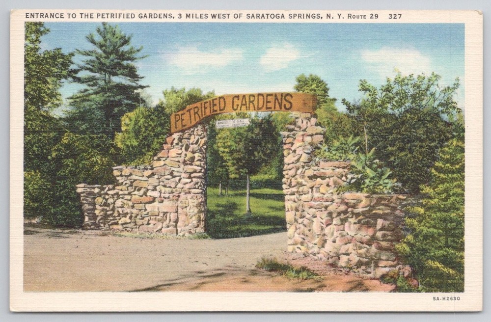 Petrified Gardens Entrance Saratoga Springs NY 1930s Curt Teich Postcard
