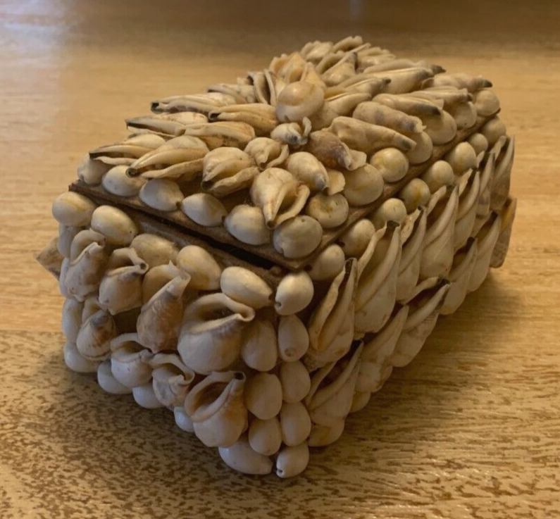 Vintage 1960s OOAK Whelk Seashell Trinket Box Jewelry Case MINT Condition