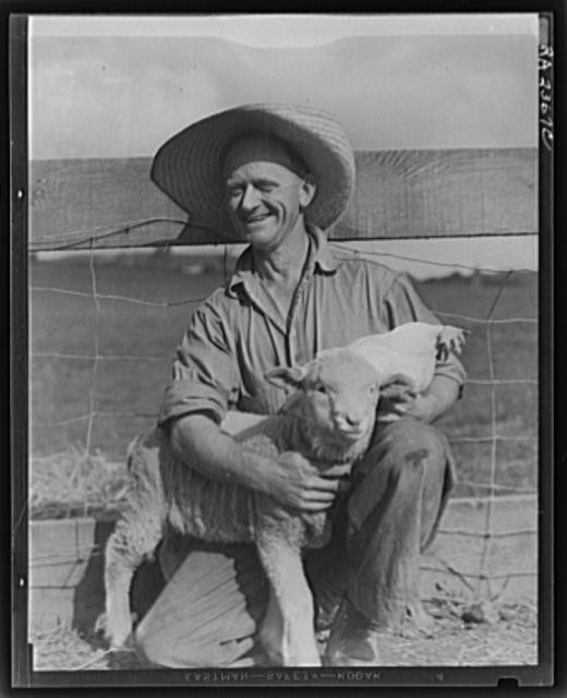 Hayward,Mariposa County,California,CA,Farm Security Administration,FSA,Lange,1