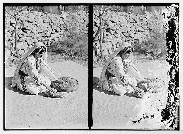 Arab women working primitive grain mill,Middle East,American Colony Photo Dept