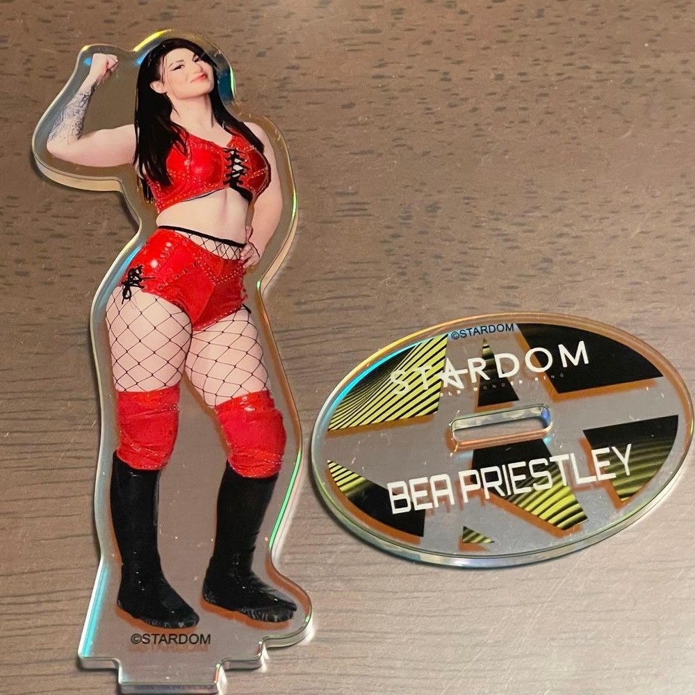 STARDOM Bee Prestory Acrylic Stand Random Aurora Girls Pro Wrestling Collection