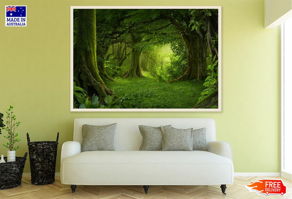 (Laminated) Deep Forest Scenery Photograph 91x61cm