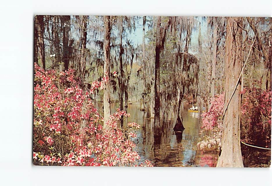 Postcard Cypress Gardens near Charleston South Carolina USA North America