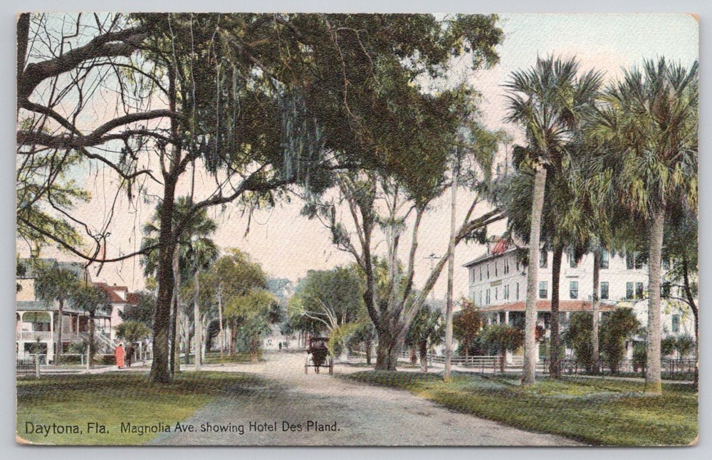 Daytona, FL Magnolia Ave Hotel Des Pland Hugh C. Leighton Postcard ~1900s