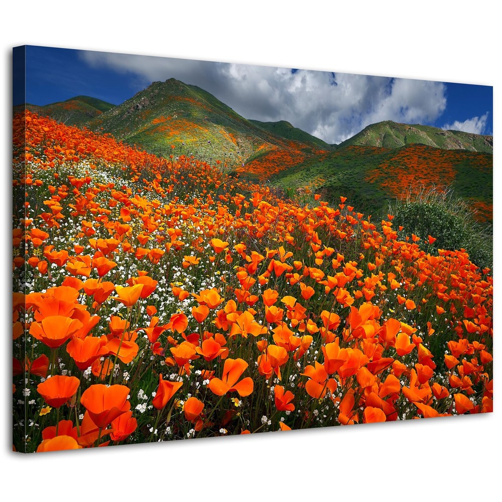 Orange Poppy Canvas Wall Art Nature Forest Mountain Landscape Pictures Wall D...