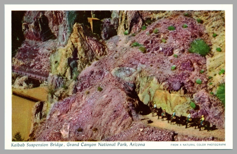 Kaibab Suspension Bridge Grand Canyon National Park AZ WB Fred Harvey Postcard