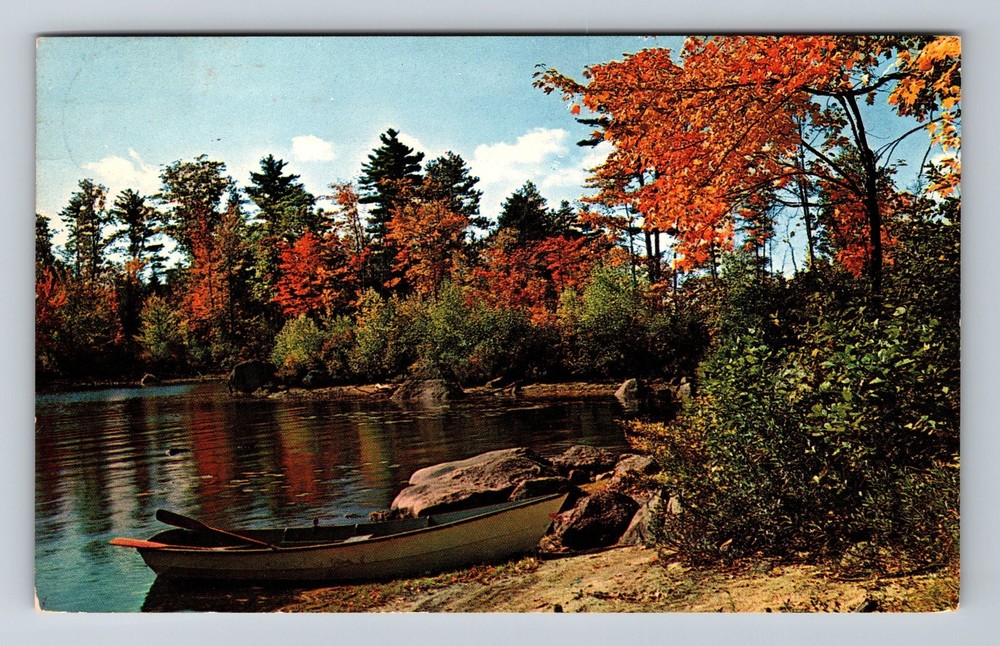 Lake St Peter ON-Ontario Canada Scenic Greetings Autumn Vintage Postcard Postal