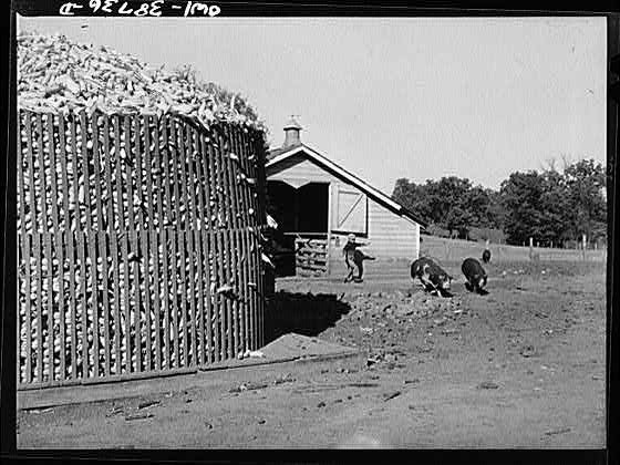 Photo:Farm Workers Sorting Harvest Outside Barn 1910s Rural Scene