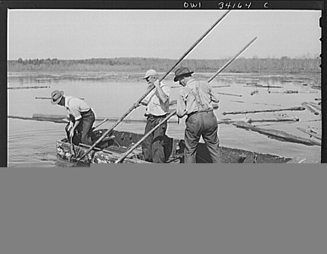 Photo:Concord New Hampshire Turkey Pond 1910s Women Workers Boat