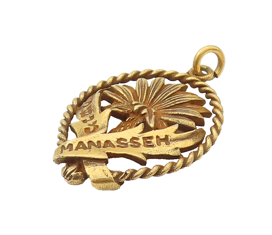10K GOLD  Vintage 12 Tribes of Manasseh Rope Border Palm Tree Pendant  GP578