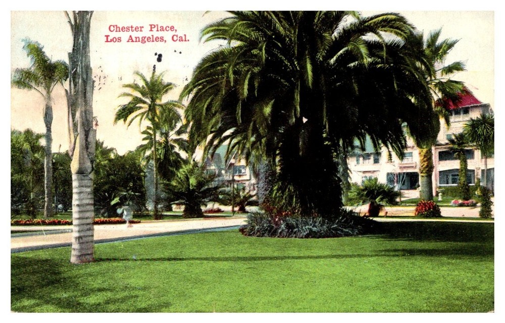 1914 Huge Palm At Chester Place Los Angeles California Vintage Postcard