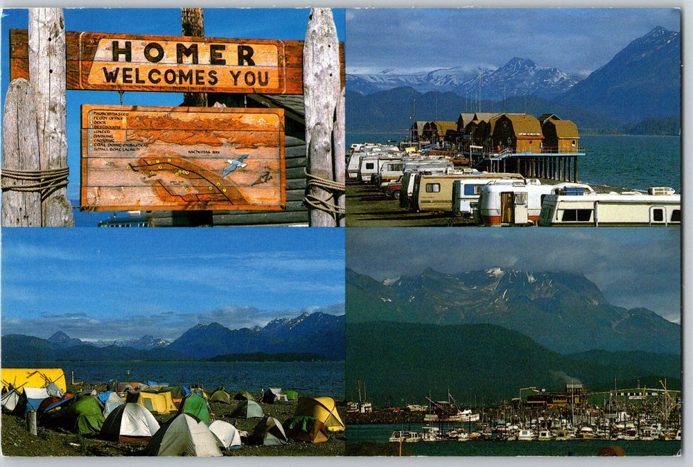 Alaska Homer Spit and Kachemak Bay Kenai Peninsula Wharf Fishing Fleet Postcard