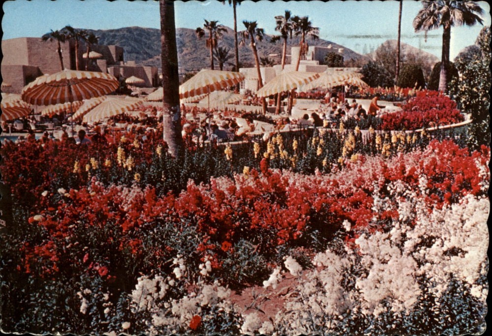 Mariott Camelback Inn Scottsdale Arizona ~ postcard sku725