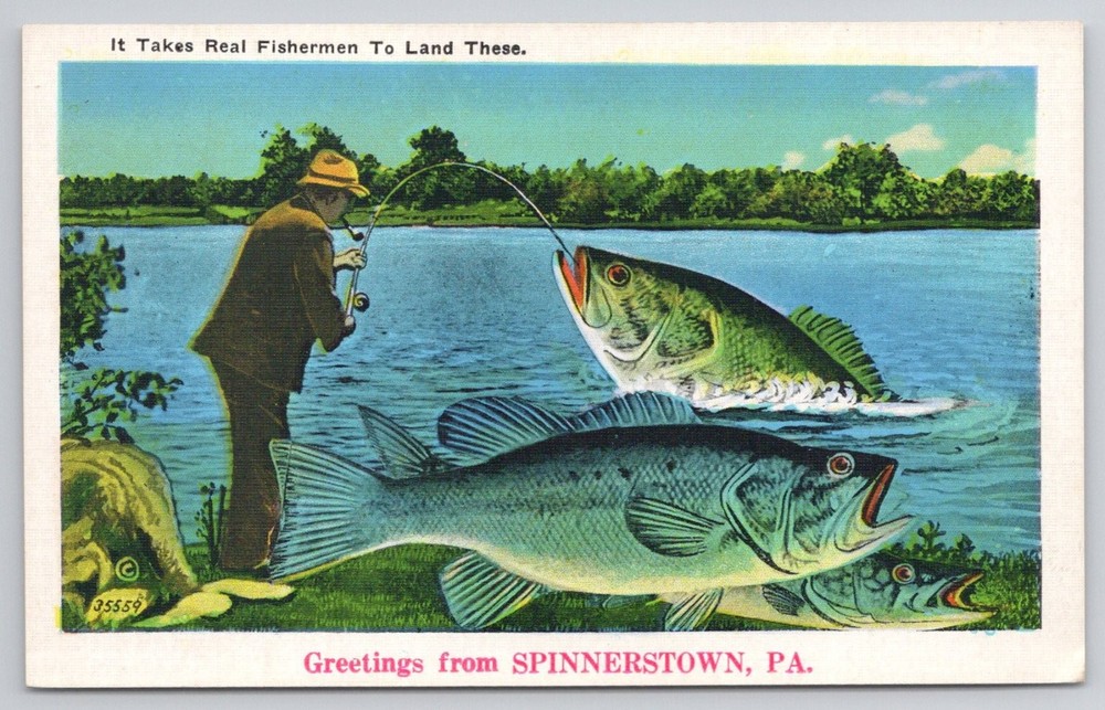 Spinnerstown PA Fishing Postcard - Humorous Giant Bass Fisherman Vintage