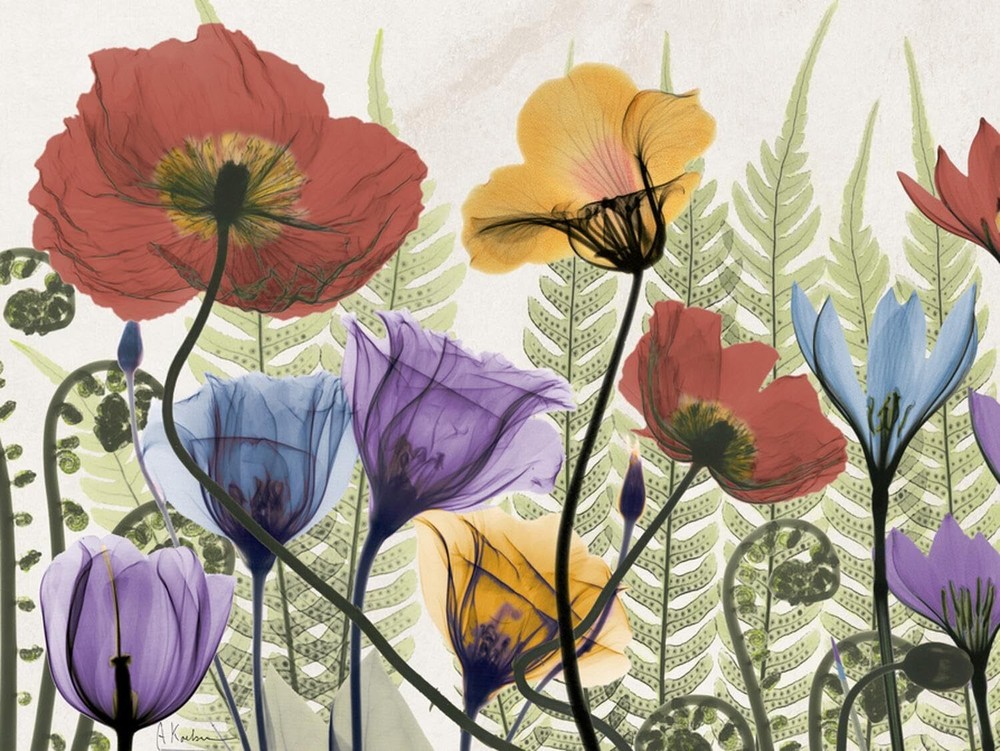 Wall Premium Giclee Print Flowers and Ferns 1 by Albert Koetsier, 32