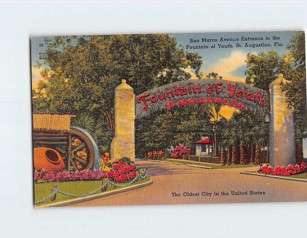 Postcard San Marco Avenue Entrance to the Fountain of Youth St Augustine Florida
