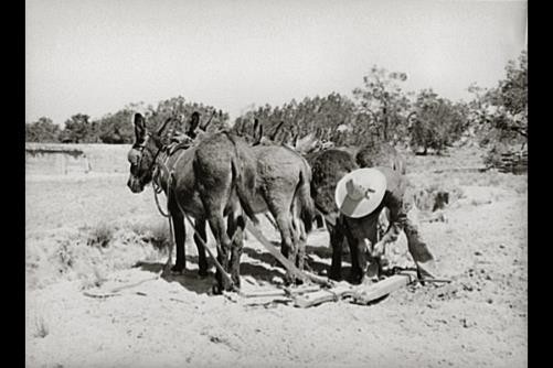 Pie Town,Farm Security Administration,Catron County,New Mexico,NM,1940,FSA