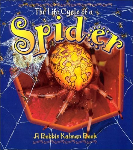 The Life Cycle of a Spider, Bobbie Kalman