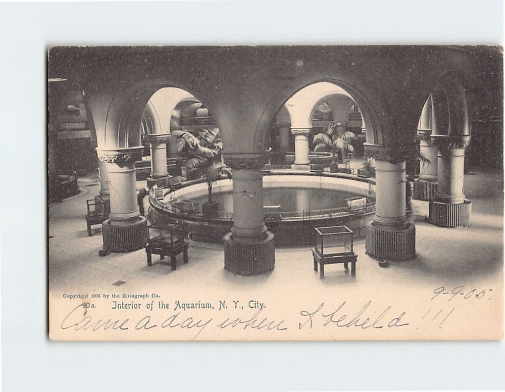 Postcard Interior of the Aquarium New York City New York USA