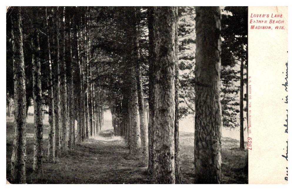 1909 Lovers Lane At Esther Beach Madison Wisconsin Vintage Postcard