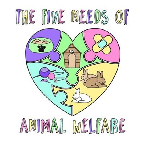 The Five Needs of Animal Welfare by Gothard, Nicola, Like New Used, Free ship...